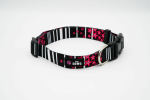 The Dowg Dog Collar