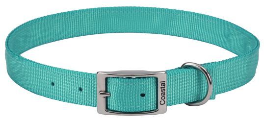 Coastal Pet Double-ply Nylon Dog Collar Teal (size: 22"L x 1"W)