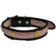 Gasparilla Collar (Color: Pink, size: L)