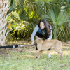 Super Tug Dog Toy