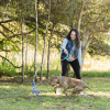 Flirt Pole V2 Dog Toy with Lure