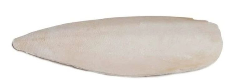 Prevue Cuttlebone Birdie Basics Large 6" Long (size: Bulk 5 lbs)